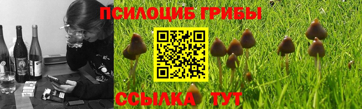Псилоцибиновые грибы Magic Shrooms  Галлюциногенные грибы GOLDEN TEACHER  Алексеевка  Вход с VPN 